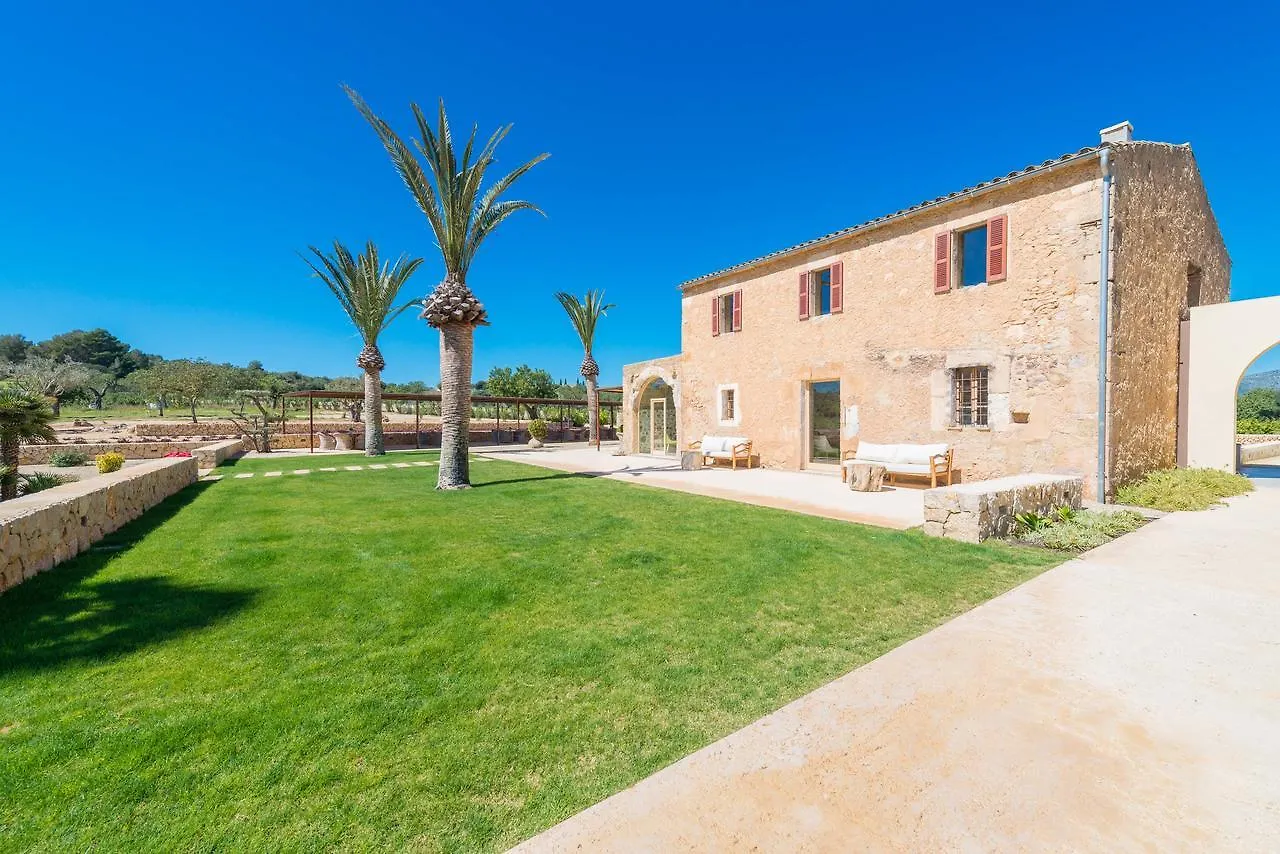 Lligam Gros - Adults Only Daire Cala Millor