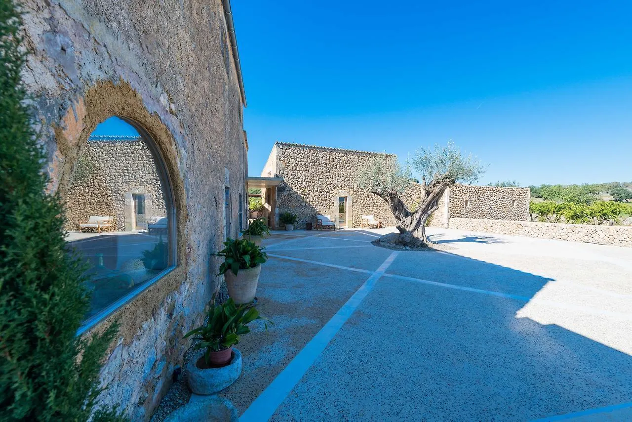 Lligam Gros - Adults Only Daire Cala Millor