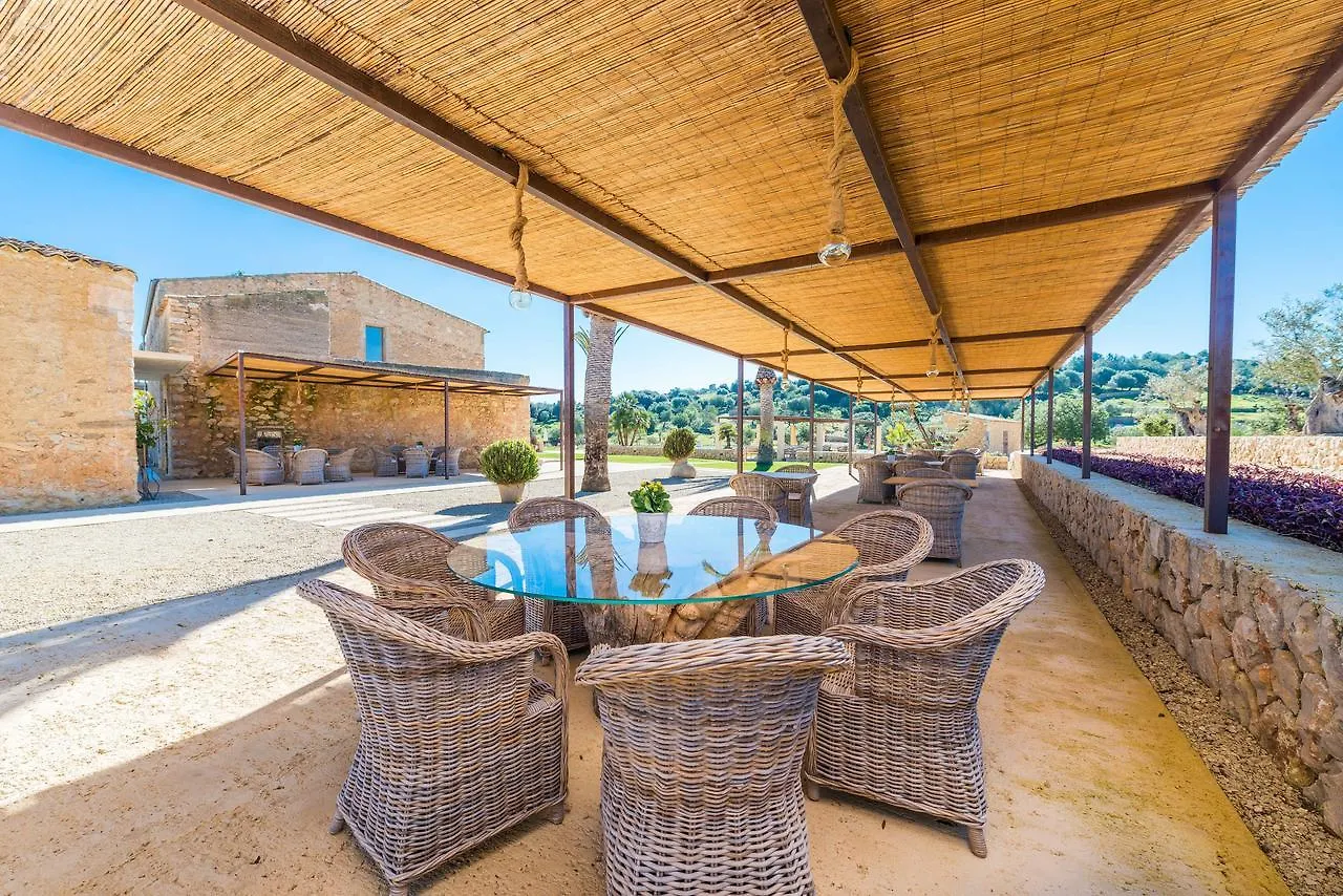 Lligam Gros - Adults Only Daire Cala Millor
